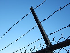 barbed-wire-482608__180.jpg